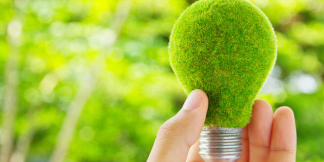 materiale ecologice