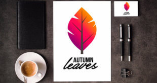 Creare Logo